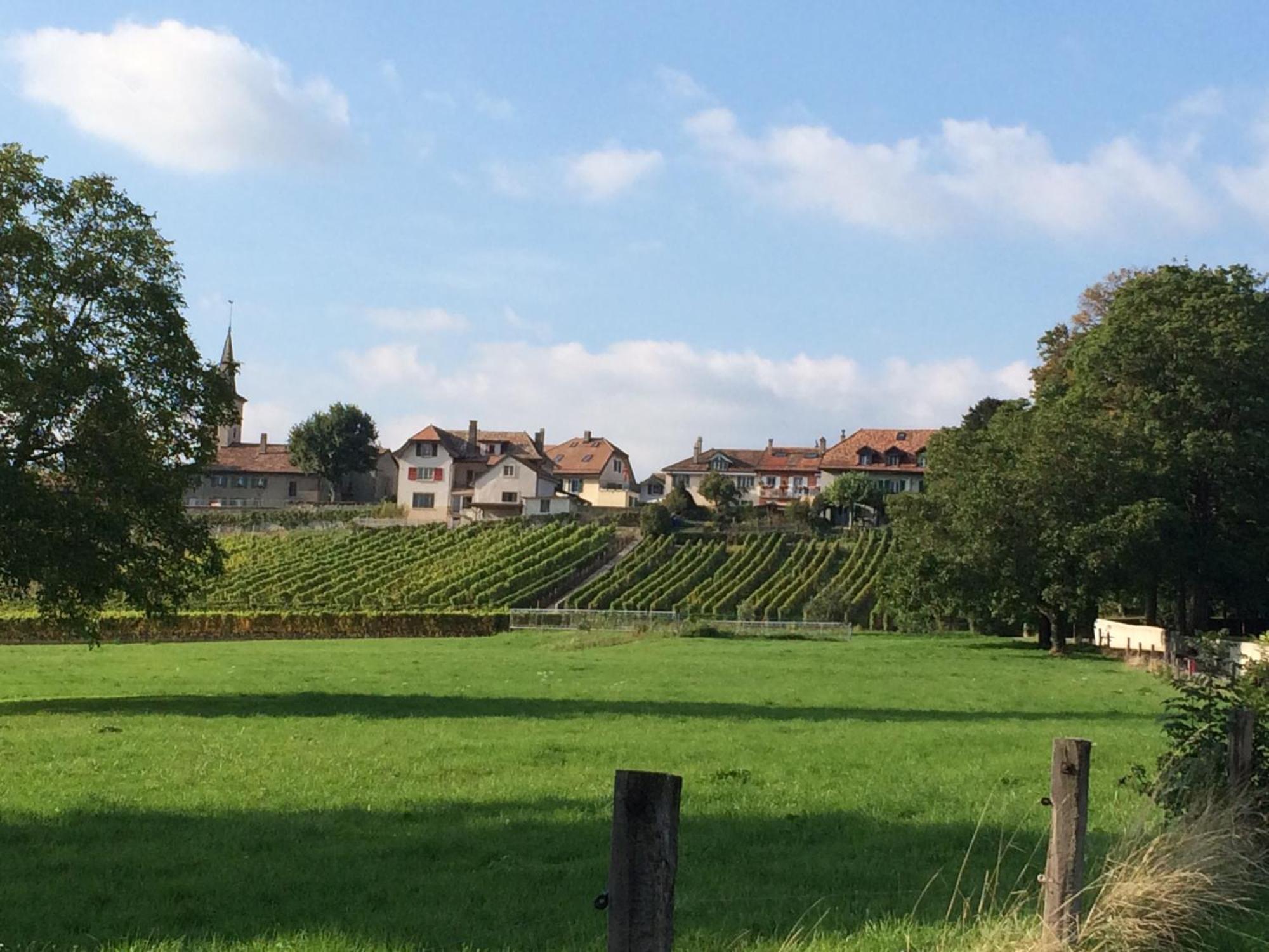 Le Chateau Lavigny Eksteriør bilde