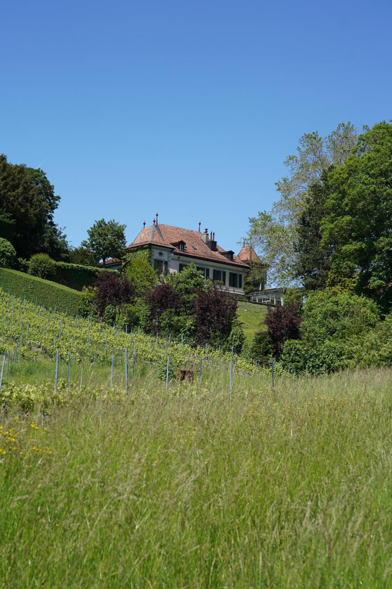Le Chateau Lavigny Eksteriør bilde